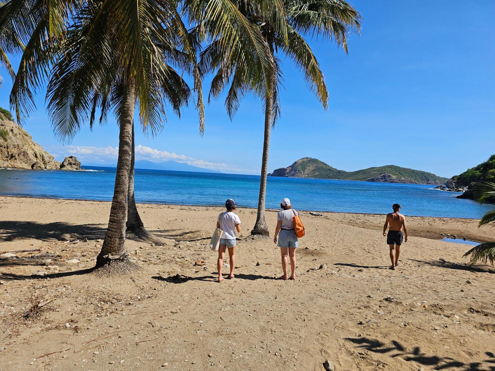 Villa Celyote - Haut De Villa, Vue Mer, A 150M De La Plage Anse Figuier 테레-드-오트 외부 사진